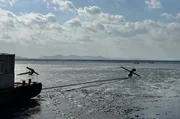 Inseln Jindo vor der Küste Südkoreas.