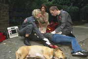 Sabine und Paul verarzten ein junges Mädchen, das von dem Hund gebissen wurde. V.li.n.re.: Marlene Marlow, Monika Häckermann, Rainer Sellien - liegend: Dana Brenning