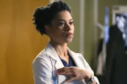 Ein Erdbeben trifft Seattle, woraufhin Maggie (Kelly McCreary) in einem Aufzug festsitzt, während Owen einem Kind telefonisch ein paar medizinische Ratschläge gibt ...
