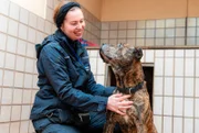 Große und gefährlich aussehende Hunde haben es schwer, ein neues Zuhause zu finden. Rüde Pablo saß lange im Tierheim Duisburg, doch dann fand auch er sein Glück.