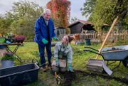 Alfons (Sepp Schauer, l., mit Johanna Graen, r.) ist hoffnungsvoll, dass sich die harte Arbeit beim Einpflanzen der Narzissenzwiebeln gelohnt hat.