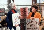 L-R: Dorothy Zbornak (Bea Arthur), Blanche Devereaux (Rue McClanahan)