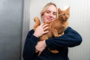 Sensible Katzen brauchen Zuwendung! Lärm, so viele andere Tiere im Tierheim und Enge verursachen Stress bei den Tieren. Für sie muss das Tierheim Duisburg schnell ein Zuhause finden.