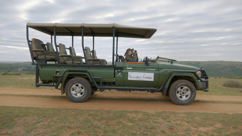 Safari reloaded – Südafrikas Tierparks erfinden sich neu (CH, 2021)