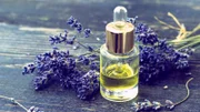 Bottle of lavender oil and lavender flowers on wooden background - vintage stylized photo