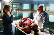 Ein extrem korpulenter Mann wurde tot in einer Mülltonne gefunden. Die Obduktion seines Körpers durch Doc Robbins (Robert David Hall, r.) bringt für ihn und Catherine (Marg Helgenberger) Interessantes zum Vorschein...