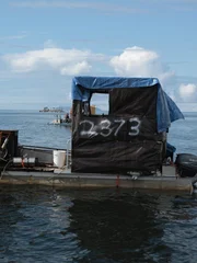The Minnow out to dredge.