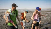 Ein Wurm zum Anfassen. An der Nordsee sind Christian und Andrea mit ihren drei Kindern bei Ebbe im Watt unterwegs. Auf der Suche nach Wattwürmern. Doch die kleine Julia ist von dem glitschigen Schlick gar nicht begeistert. Also muss sich die Familie trennen.