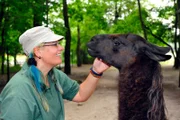ARD/rbb PANDA, GORILLA & CO., TEIL 260, "Geschichten aus dem Zoo Berlin und Tierpark Berlin", Tierpflegerin Annett Krüger mit einem Lama