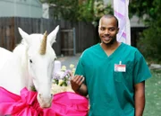 Donald Faison (Chris Turk).