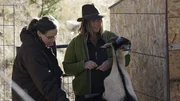 Misty Raney and Patty Crum look at a goat. Misty Raney and Patty Crum look at a goat.