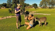 Wieder ein schöner Tag für die Tiere und Volontäre auf Harnas.