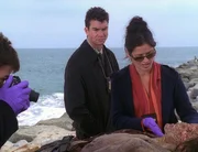 Jordan (Jill Hennessy) entdeckt am Hinterkopf der Wasserleiche eine Wunde, die darauf hindeutet, dass es sich hier um einen Mord handelt. Ein Fall f&uuml;r Detective Hoyt (Jerry O'Connell).