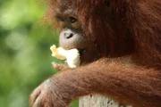 Kacy eating.