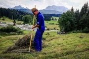 Schwitzen im Himmelreich. So heißt die riesige Hang-Wiese hinter dem Campingplatz am Tennsee. Und die muss gemäht werden. Eine Schweiß treibende Aufgabe für Hausmeister Udo.