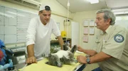 Frank Cuesta at the vet