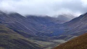 Die typische, karge Landschaft der Highlands war einst mit dichtem Wald bewachsen.