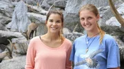 Wo klettert der Steinbock? 1