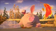 Das Schwein entdeckt den Herbst und ein ganz besonders schön gefärbtes Laubblatt.