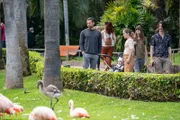 Dr. Eric Leonhard (Moritz Otto) findet Sybille (Luise Helm) im Loro Park. Sie flieht vor ihm.