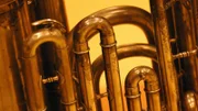 Cross section of brass musical instrument.