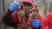 Mac White comparing crab in frigid cold temps.