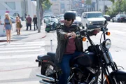 Adrian Grenier