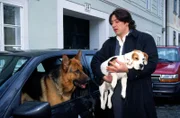 Rex hat die Beagle-Hündin aufgespürt, die nach dem Tod des Professors aus dem Käfig in der Uni verschwand. Kommissar Moser (Tobias Moretti) nimmt das Tier mit, doch Rex mag sich gar nicht trennen - er hat sich verliebt ...