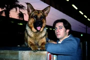 Kommissar Moser (Tobias Moretti) und Rex observieren am Südbahnhof einen mutmaßlichen Mörder ...