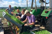 Moderatorin Simin Sadeghi pflanzt in Tägermoos Fenchel