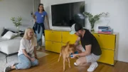 Ellen Marques (2.v.l.) bei Katharina und Björn mit Mischling Buddy