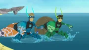 Chris und Martin verbringen den Morgen am Strand und beobachten dabei wie ein Einsiedlerkrebs von einem Schneckenhaus in ein anderes umzieht.