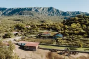 Inzwischen sind es 59 Stuten und ein Hengst, die auf Darkos Eselfarm im Dorf Martinici ein Zuhause haben – hoch in den Bergen, 17 Kilometer von Montenegros Hauptstadt Podgorica entfernt.