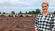 Mehr als 9.000 Heidschnucken gibt es in der Lüneburger Heide. 13 Herden ziehen das ganze Jahr durch die Heidefläche und sorgen dafür, dass die Heide so schön wächst.