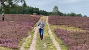 Im Spätsommer verwandelt sich die Lüneburger Heide in ein leuchtendes lila Blütemeer. Ein einzigartiges Schauspiel, das sich Judith Rakers nicht entgehen lässt.