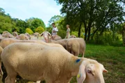 700 Mutterschafe stehen ganzjährig auf den Weiden des Gutshofs Polting in Niederbayern, den seit Generationen die Familie Riederer Freiherr von Paar bewirtschaftet. Leonhard (24), genannt Lenny, und seine Frau Henrietta sind für den Betrieb verantwortlich. Immer dabei: Töchterchen Maximiliana.