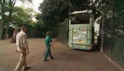 Giraffenjunge Kumbuko geht auf Reisen.
