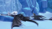 Hicks und seine Freunde finden im ewigen Eis einen seltenen Drachen: Einen Skrill.