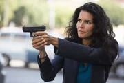 Jane Rizzoli und ihre Kollegen werden bei ihrem Fall mit einem Detektiv zusammenarbeiten. Zuerst hält Jane das für keine gute Idee, doch muss ihre Meinung schnell ändern.