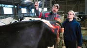 Kühe Besamen gehört dazu: Ausbilder Sönke (l.) mit Azubi und zukünftigem Landwirt Jeffrey.