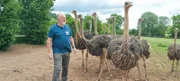 Tierisch geht es auch bei Fred Kaufmann zu. Er züchtet Strauße. Die Laufvögel sind für ihn die imposanten Nachfahren der Dinosaurier.