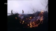 "Der Wald wird wieder öd und leer" - so lautet eine der düsteren Prophezeiungen, die der Waldprophet Stromberger Mitte des 18. Jahrhunderts  verkündete. "Im Bayerischen Wald wird nur ein Leiterwagen voll Leut übrigbleiben" - und die werden sich mit Rauchzeichen verständigen, so der Prophet. Im Bild: ein Holzfeuer 1979.