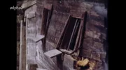 "Der Wald wird wieder öd und leer" - so lautet eine der düsteren Prophezeiungen, die der Waldprophet Stromberger Mitte des 18. Jahrhunderts im Bayerischen Wald verkündete. Im Bild: eine verlassene Waldhütte.
