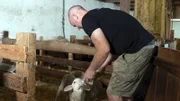 Michael Schweighöfer mit Lämmern.