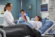 Grey's Anatomy
Staffel 18
Folge 13
Camilla Luddington als Dr. Jo Wilson, Sylvia Kwan als Dr. Mabel Tseng, Tessa Hope Slovis als Laura Eames
SRF/ABC Studios