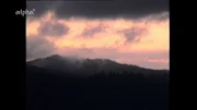 "Der Wald wird wieder öd und leer" - so lautet eine der düsteren Prophezeiungen, die der Waldprophet Stromberger Mitte des 18. Jahrhunderts im Bayerischen Wald verkündete. Dieses Waldpanorama stammt von 1979.