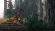 An Archaeopteryx, the earliest and most primitive known bird species, bends its sharp talons.