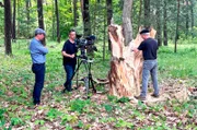 Der Bildhauer Thomas Schwarz auf dem vierten Motiv bearbeitet gerade eine zweieinhalb Tonnen schwere Eichenkrone. Die Eiche stand im Pücklerpark am sogenannten Eichsee und musste aus Altersgründen gefällt werden. Schwarz schenkt solchen Eichen, Buchen oder Kastanien mit seiner Kunst ein zweites Leben.