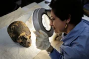 Kairoer Museum, Ägypten - Salima Ikram betrachtet einen Schädel durch ein Vergrößerungsglas.