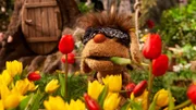 Moppi ist bereit für neue Abenteuer.